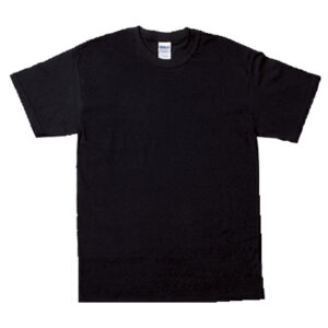 GL2000 Color 2